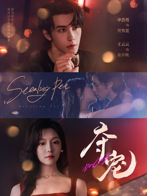 夺宠(88集) 夺宠(88集)免费短剧大全