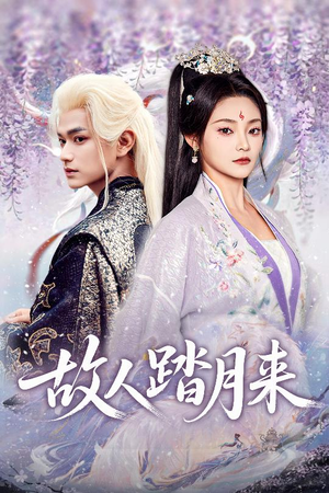 故人踏月来(60集) 故人踏月来(60集)每天短剧分享