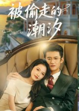 被偷走的潮汐（60集）全剧免费观看