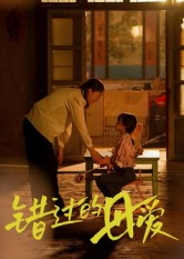 错过的母爱(32集) 错过的母爱(32集)高分佳作免费看