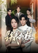 许我折桂(70集) 许我折桂(70集)高分佳作免费看