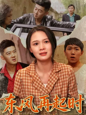 东风再起时(112集) 东风再起时(112集)短剧