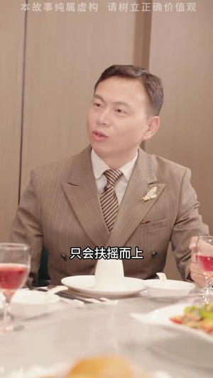 姐姐的心思 (20集)  姐姐的心思 (20集) 免费在线看全集