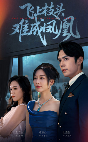 飞上枝头难成凤凰(47集) 飞上枝头难成凤凰(47集)经典回顾免费看