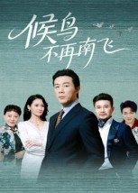 候鸟不再南飞(80集) 候鸟不再南飞(80集)短剧推荐上热门