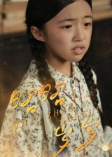 昭昭岁岁(30集) 昭昭岁岁(30集)好看的短剧电影