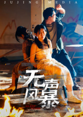 无声风暴(33集) 无声风暴(33集)经典回顾免费看