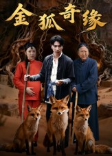 金狐奇缘(42集) 金狐奇缘(42集)短剧热门合集