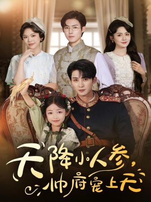 天降小人参,帅府宠上天(83集) 天降小人参,帅府宠上天(83集)百度网盘在线看