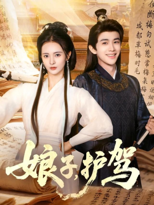 娘子护驾(73集) 娘子护驾(73集)完整版免费观看