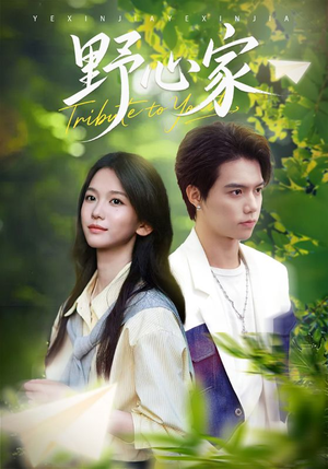 野心家（65集）超好看的短剧