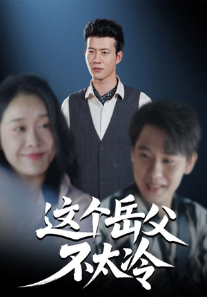 这个岳父不太冷（30集）无需会员轻松看