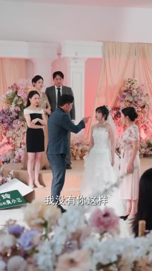 想当家做主，也不看看我是谁（40集）番茄短剧看全集