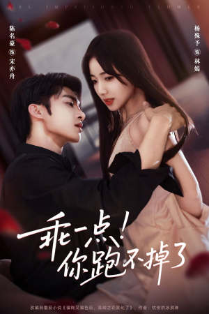 乖一点！你跑不掉了（80集）免费短剧全集看