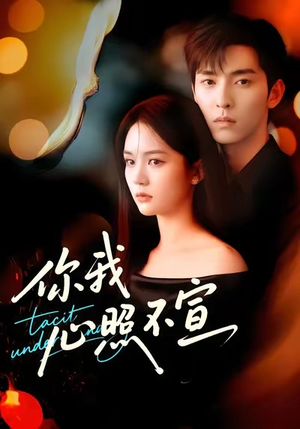 你我心照不宣（75集）热门火爆短剧