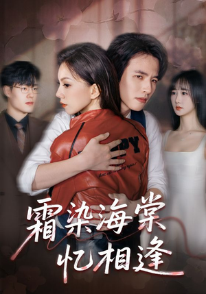 霜染海棠忆相逢（72集）精彩不断免费看