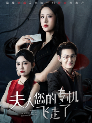 夫人您的专机飞走了（62集）看到了大结局
