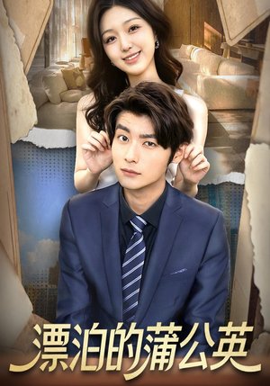 漂泊的蒲公英(60集) 漂泊的蒲公英(60集)短剧后续更精彩