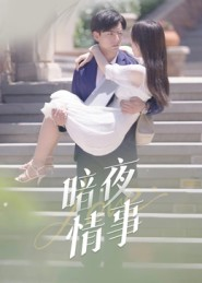 暗夜情事（100集）短剧视频分享