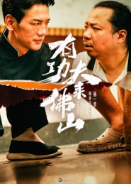 有功夫来佛山（12集）精彩短剧看全集