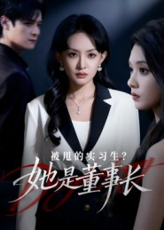 被甩的实习生？她是董事长！（59集）一口气追完短剧