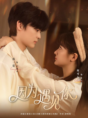 因为遇见你(79集) 因为遇见你(79集)精彩连连免费看