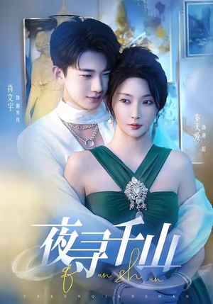 夜寻千山（60集）网盘在线观看
