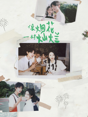 像烟花一样灿烂（60集）无需充值尽情看