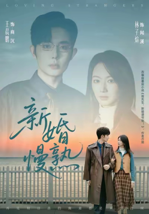 新婚慢熟(105集) 新婚慢熟(105集)演员表