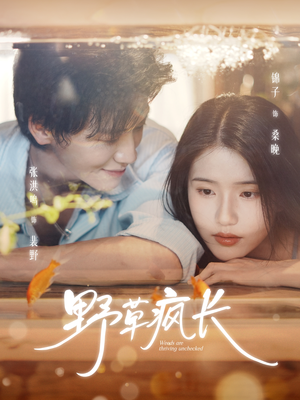 野草疯长(71集) 野草疯长(71集)在线看完整版