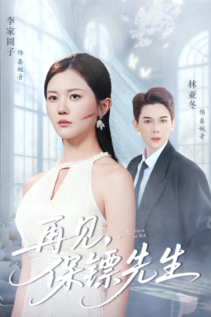 再见保镖先生(51集) 再见保镖先生(51集)免费观看