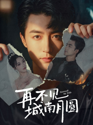 再不见城南月圆(60集) 再不见城南月圆(60集)热播短剧全集看