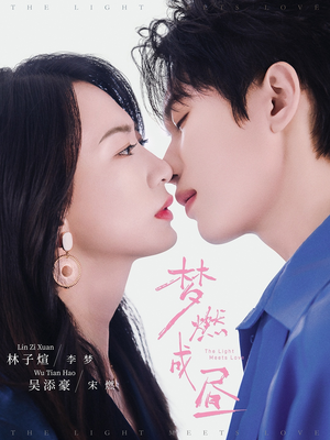 梦燃成昼（60集）全集一网打尽