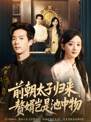 前朝太子归来，赘婿岂是池中物（80集）80到100集