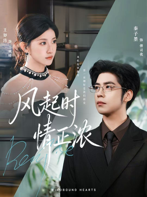 风起时情正浓(79集) 风起时情正浓(79集)推荐热门短剧
