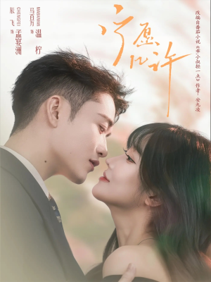 宁愿几许（78集）百度网盘资源