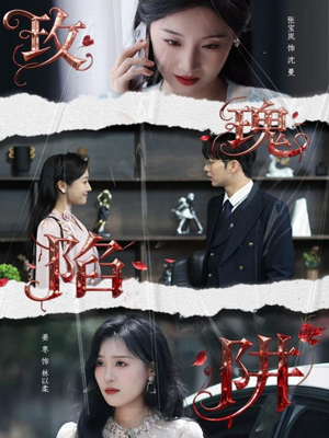 玫瑰陷阱(40集) 玫瑰陷阱(40集)80到100集