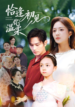 恰逢初见你温柔(86集) 恰逢初见你温柔(86集)短剧精彩推荐