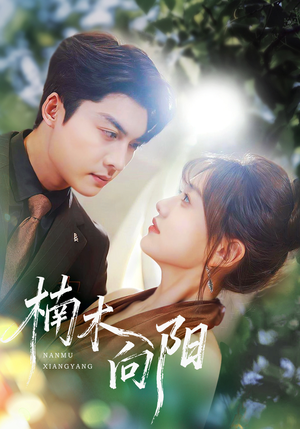 楠木向阳(70集) 楠木向阳(70集)最火短剧热播