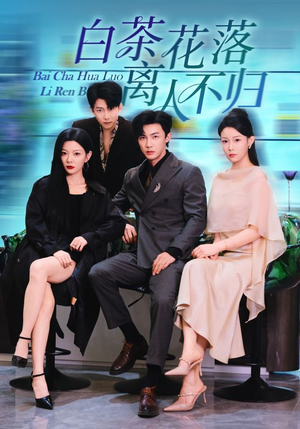 白茶花落离人（51集）百度在线观看