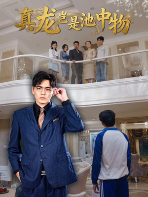 真龙岂是池中物（80集）排行榜前十短剧