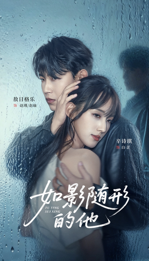 如影随形的他（30集）360网盘观看