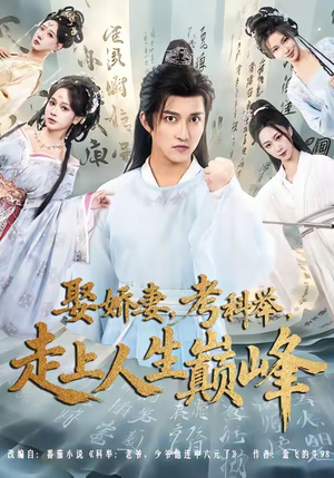 娶娇妻，考科举，走上人生巅峰（80集）短剧前十排行榜