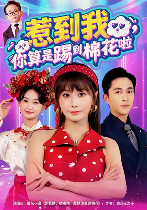 惹到我，你算是踢到棉花啦（67集）高清画质免费看