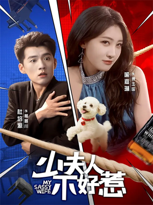 少夫人不好惹（61集）古代短剧推荐