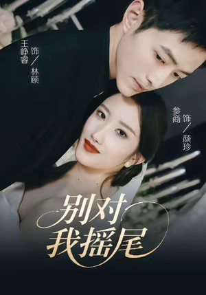 别对我摇尾（59集）免费短剧看不停