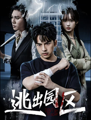 逃出园区(28集) 逃出园区(28集)短剧精彩绝伦