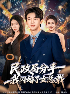 民政局分手，我闪婚了女总裁（72集）红果免费看短剧