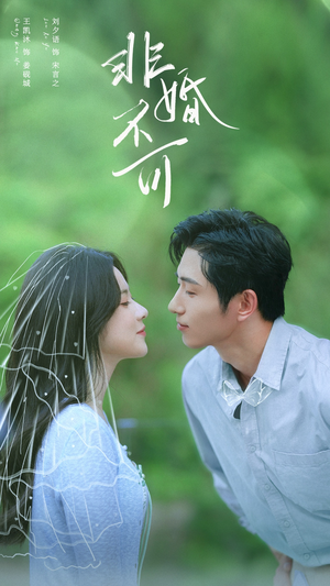 非婚不可(65集) 非婚不可(65集)短剧看全集