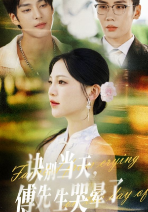 诀别当天傅先生哭晕了（62集）最新短剧推荐